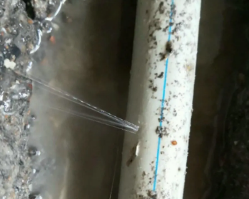 东宁卫生间测漏水多少钱