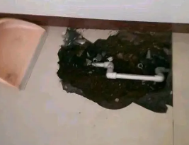 东宁卫生间测漏水多少钱
